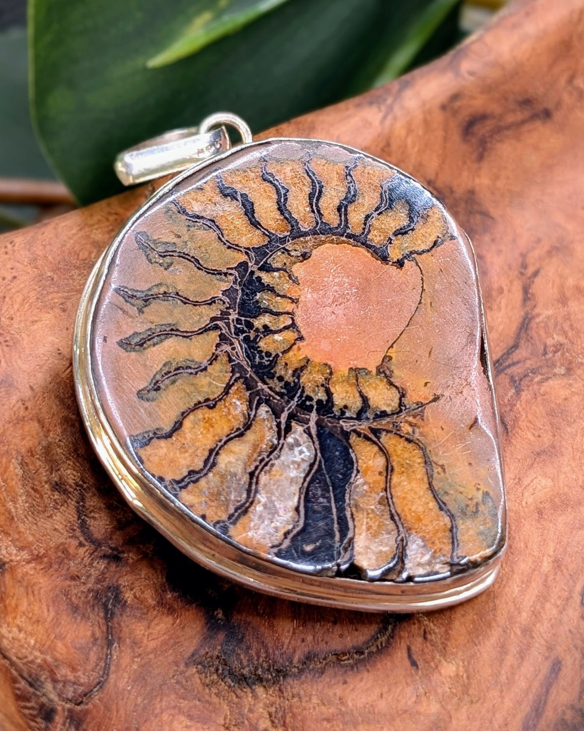 Ammonite Slice Pendant
