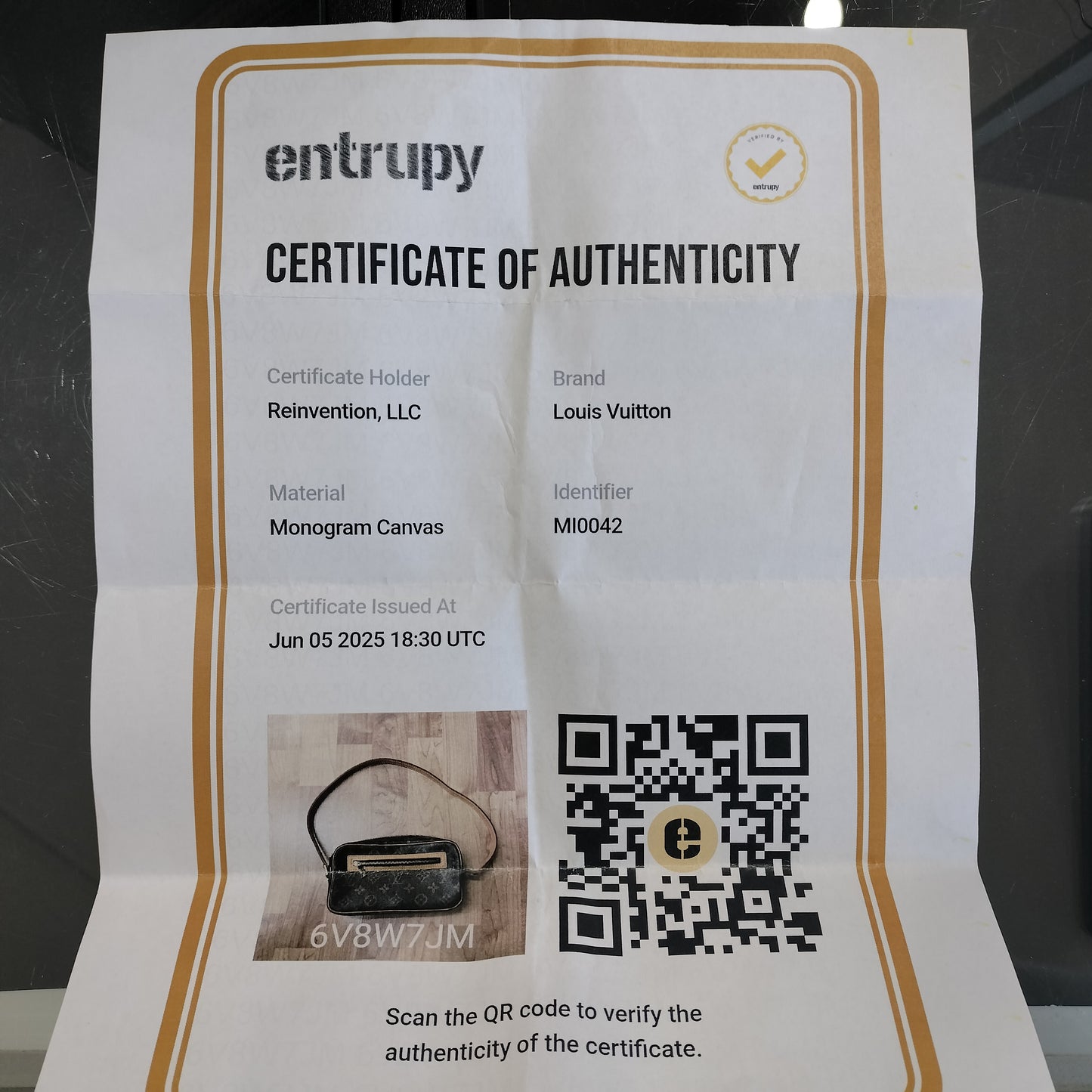 Louis Vuitton LV Monogram Pouchette Cite