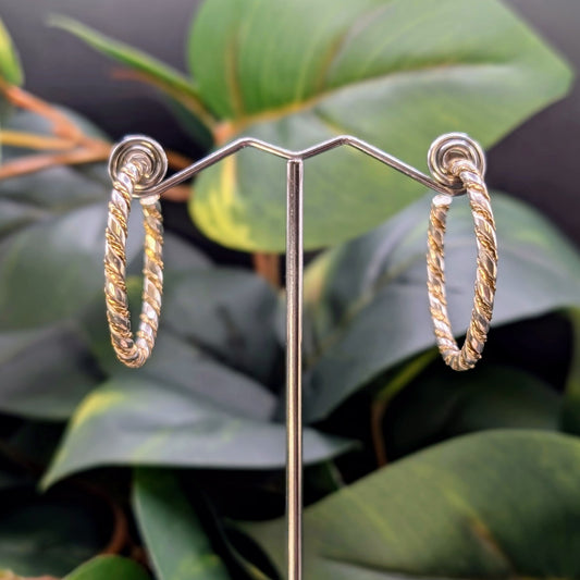 Gold and Silver Hoops