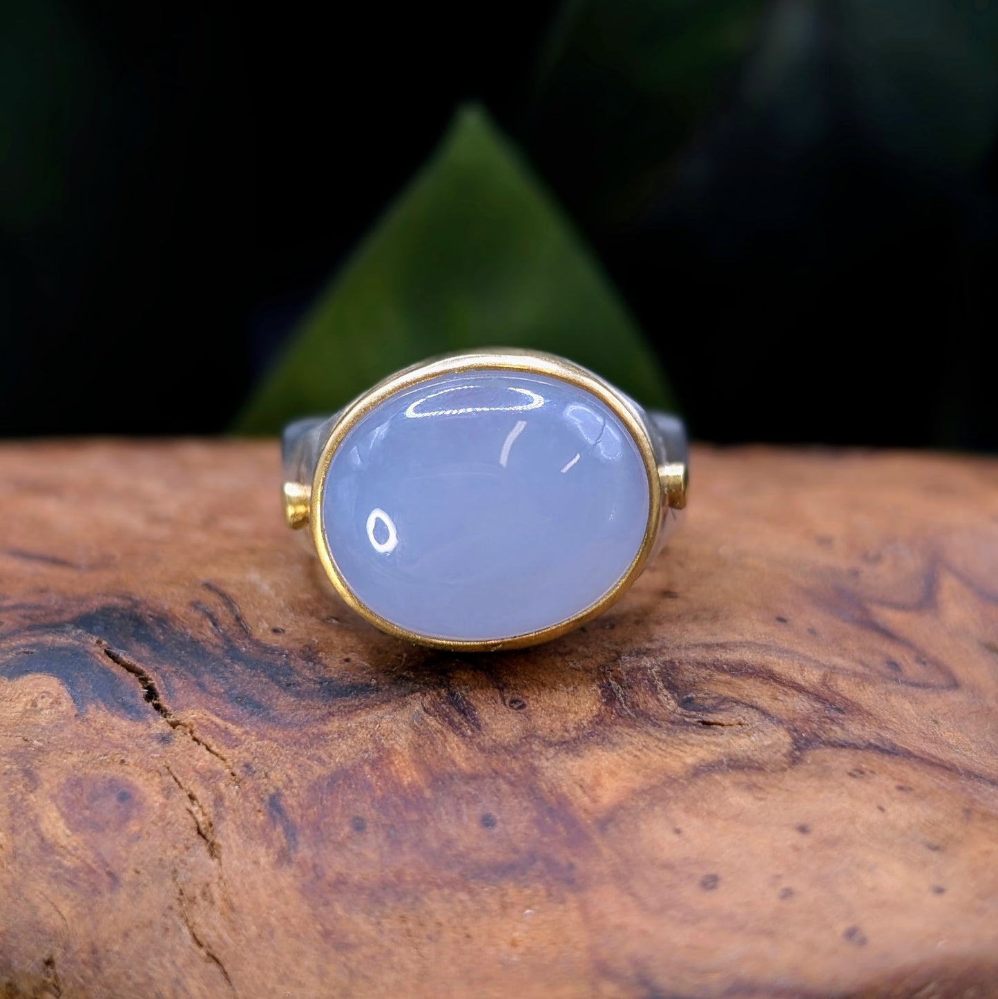 Jennifer Jenkins Ring from Miya Gallery