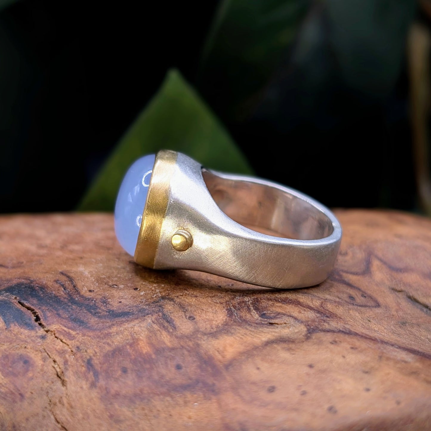 Jennifer Jenkins Ring from Miya Gallery