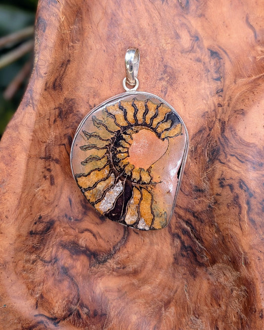 Ammonite Slice Pendant