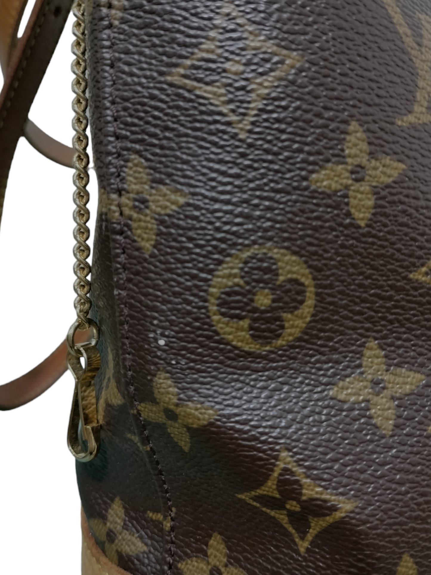 Louis Vuitton Monogram Petit Bucket Purse