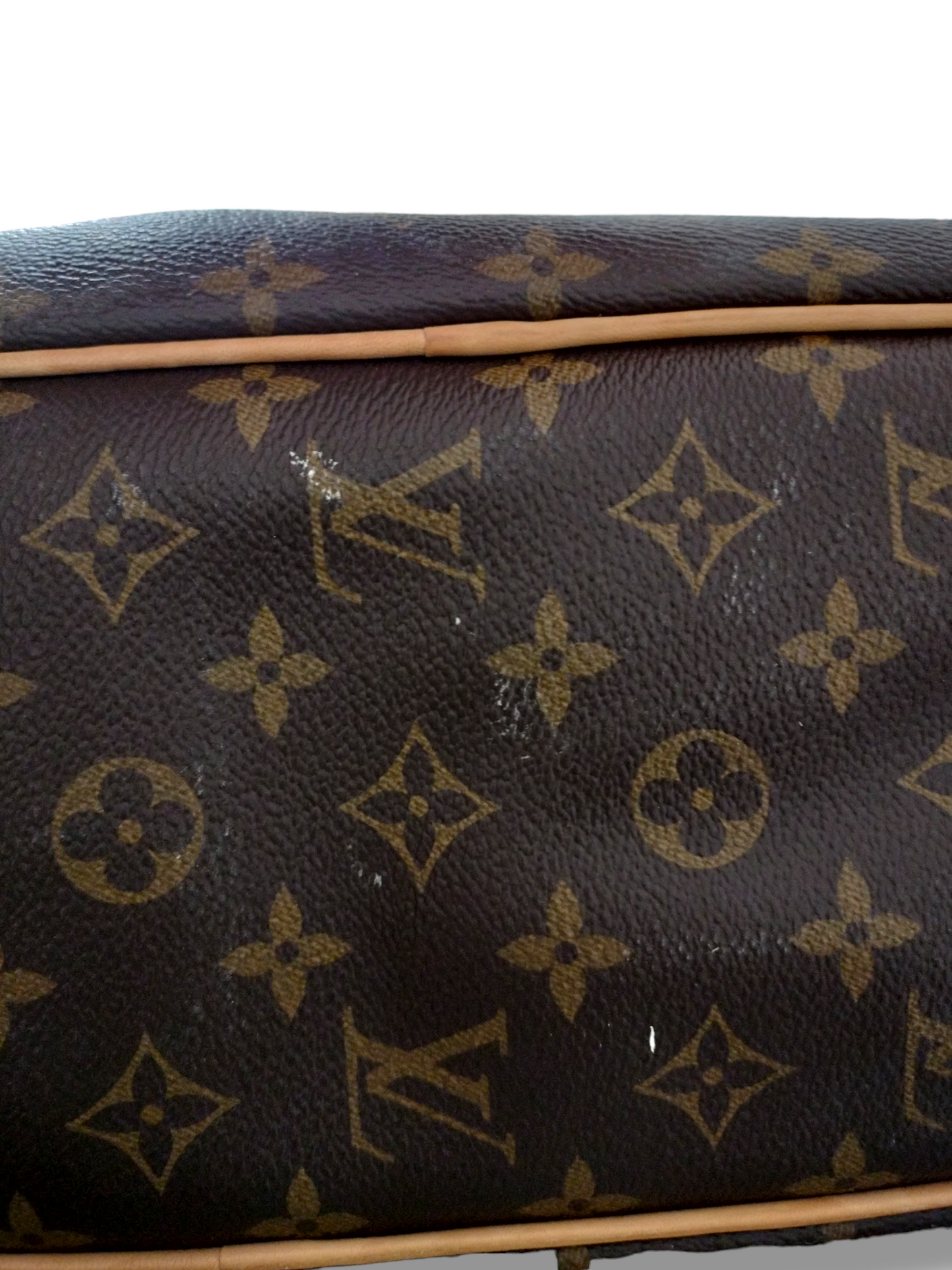 Louis Vuitton Monogram Delightful MM Pivoine handbag