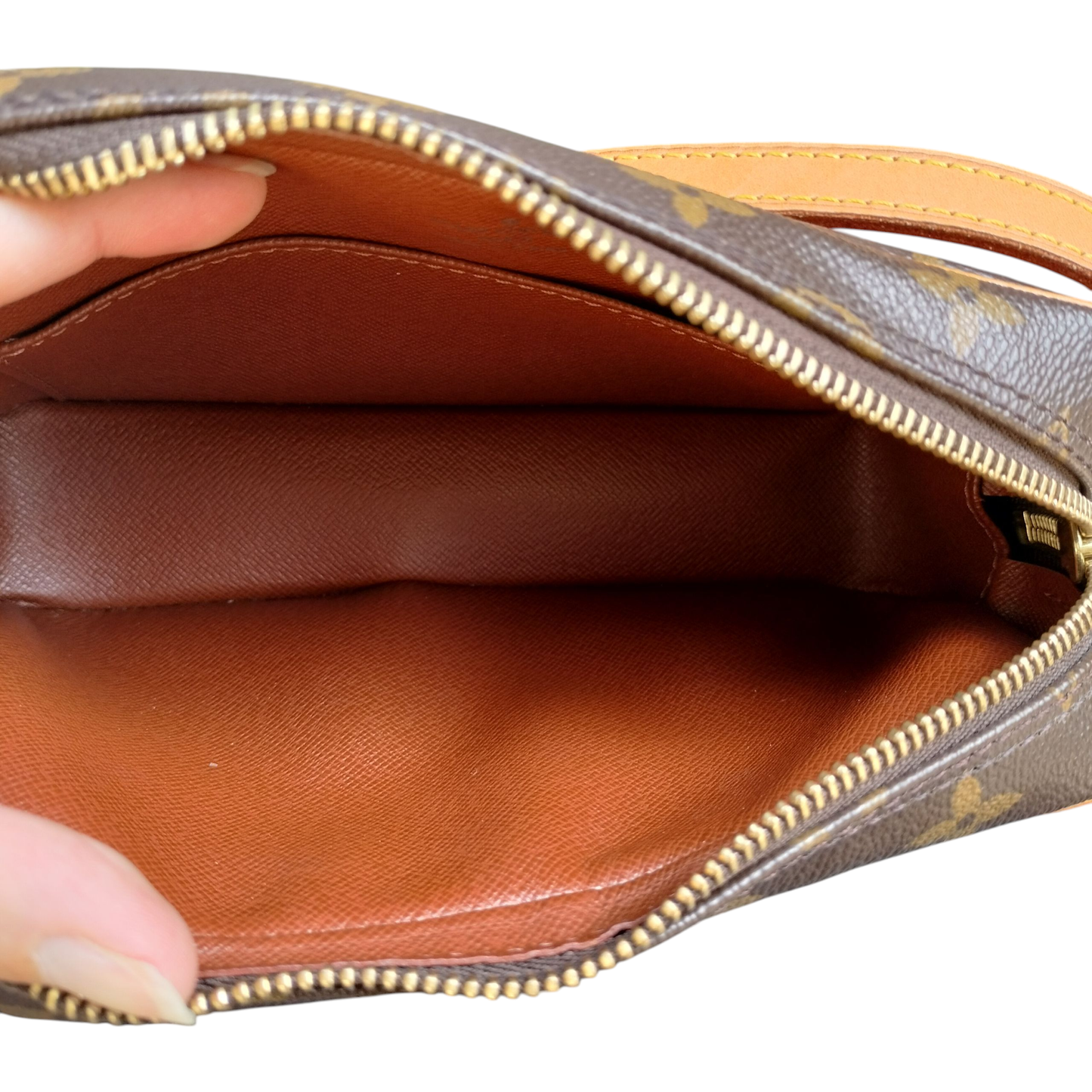 Louis Vuitton LV Monogram Pouchette Cite