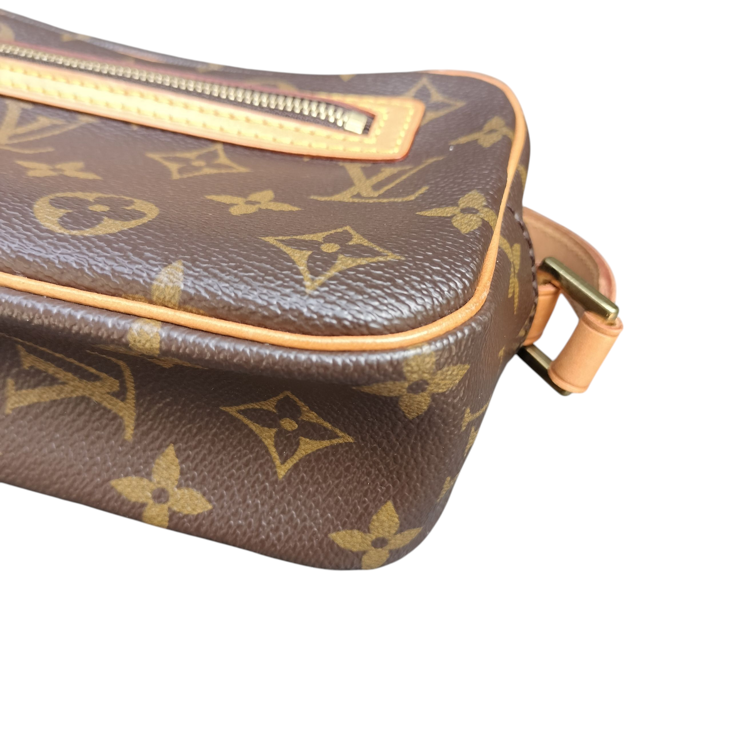Louis Vuitton LV Monogram Pouchette Cite