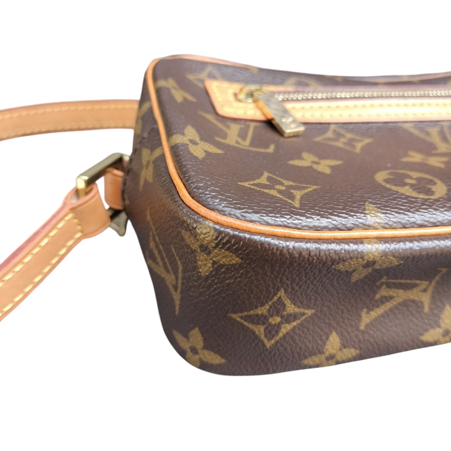 Louis Vuitton LV Monogram Pouchette Cite